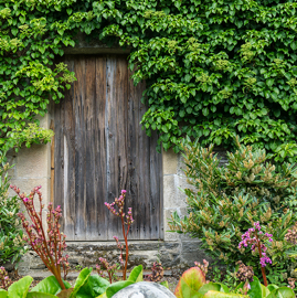 Garden Gate.jpg